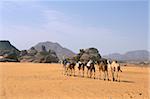 Désert du Sahara de caravane de chameau, Akakus, Fezzan (Libye), l'Afrique du Nord, Afrique