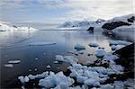 Gletscher, Paradise Bay, Antarktische Halbinsel, Antarktis, Polarregionen
