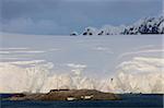 English Research Station, Penguin Colony, Port Lockroy, Antarctic Peninsula, Antarctica, Polar Regions