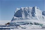 Manchots Adélie (Pygoscelis adeliae), devant un iceberg, Dumont d'Urville, l'Antarctique, les régions polaires