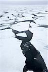 Banquise, glaces en dérive, au Groenland, l'Arctique, les régions polaires