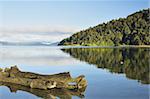 Lake Waikaremoana, Te Urewera National Park, Bay of Plenty, North Island, New Zealand, Pacific