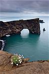 Dyrholaey natürliche arch, im Süden von Island (Sudurland), der südlichste Punkt in Island, in der Nähe von Vik, Iceland, Polarregionen