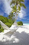 Hamac sur la plage tropicale vide, Maldives, océan Indien, Asie