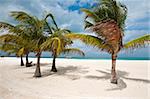 Isla de Pasion (île de la Passion) sur la Isla de Cozumel, Cozumel, au Mexique, en Amérique du Nord