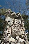 Stela D dating from 736 AD, Copan Archaeological Park, Copan, UNESCO World Heritage Site, Honduras, Central America