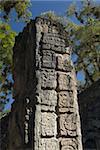 Mayan glyphs on the side of Stela P, West Court, Copan Archaeological Park, Copan, UNESCO World Heritage Site, Honduras, Central America