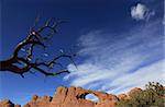 Une arche rocheuse de grès naturel dans le Parc National Arches, près de Moab, Utah, États-Unis d'Amérique, Amérique du Nord