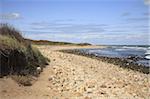 Montauk Point State Park, Montauk, Long Island, New York, États-Unis d'Amérique, North America