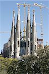 Sagrada Familia towers and spires, UNESCO World Heritage Site, Barcelona, Catalonia, Spain, Europe