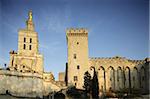 Cathedral and Palais des Papes, UNESCO World Heritage Site, Avignon, Vaucluse, France, Europe