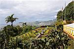 Blick über den Botanischen Garten, Funchal, Madeira, Portugal, Europa