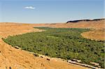 Palm trees in oasis along the road between Erfoud and Rissani, Morocco, North Africa, Africa