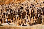 Tsingy rouge, étrange à la recherche des formations de grès, près de Diego Suarez (Antsiranana), Madagascar, Afrique