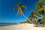 La belle plage de Andilana, Nosy Be, Madagascar, océan Indien, Afrique