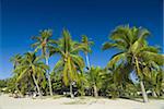 The beautiful beach of Andilana, Nosy Be, Madagascar, Indian Ocean, Africa