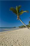 La belle plage de Andilana, Nosy Be, Madagascar, océan Indien, Afrique