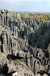 Formations coralliennes, Tsingy de Bemaraha, patrimoine mondial de l'UNESCO, Madagascar, Afrique
