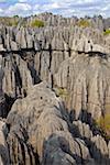 Formations coralliennes, Tsingy de Bemaraha, patrimoine mondial de l'UNESCO, Madagascar, Afrique