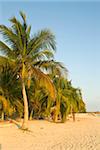 White sand beach, Playa Ancon, Trinidad, Cuba, West Indies, Caribbean, Central America