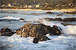 Rocky coast along Ocean Drive in Carmel, California, United States of America, North America