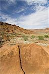 Dessins anciens (pétroglyphes) sur le rocher de grès, datant de 6000 ans à l'âge de Pierre, des chameaux et également des animaux que ne se trouve plus dans la région de Twyfelfontein, patrimoine mondial de l'UNESCO, Namibie, Afrique