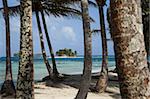 Islands in the San Blas archipelago in the Caribbean Sea, seen through palm trees on Dog Island, Panama, Central America