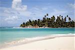 Palmen und Stroh Hütten auf Diablo Island zu Dog Island, San Blas Inseln, Panama, Mittelamerika vom Strand aus gesehen