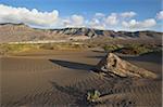 Vulkanische Klippen bis 600 m über steigende Wüste Landschaft in der Nähe von Famara, mit seiner Entwicklung Flachbau Bungalow Famara, Lanzarote, Kanarische Inseln, Spanien, Atlantik, Europa