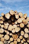 Woodpile, Krageroe, Telemark County, Eastern Norway, Norway