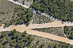 Luftbild von Sandy Road in Pinienwald. Provinz Huelva, Andalusien, Spanien