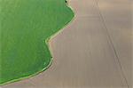 Aerial View of Edge of Wheat Field, Cadiz Province, Andalusia, Spain