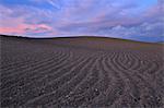 Plowed Field at Sunset, Near Ronda, Malaga Province, Andalucia, Spain