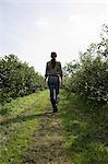 Young woman walking in field, rear view