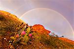 Arc-en-ciel sur la vallée de feu State Park, Nevada, USA