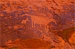 Gros plan des pétroglyphes, Valley of Fire, Nevada, USA