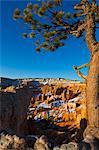 Aube au Parc National de Bryce Canyon, Utah, USA