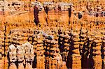 Sandstein Hoodoos, Türme und Zinnen von Sunset Point, dem Bryce Canyon National Park, Utah, USA