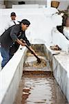 Laver et sécher les grains de café, Finca Vista Hermosa caféière, Agua Dulce, département de Huehuetenango, Guatemala