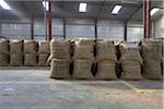 Kaffee verpackt in Jute Säcke, Cofeco S.A. trocken Mühle, Departamento Huehuetenango, Guatemala