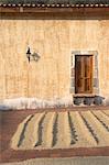 Coffee Beans Drying on Patio, Finca Filadelfia, Antigua Guatemala, Guatemala