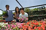 Family shopping for flowers in plant nursery