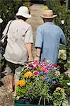 Senior Couple walking in plant nursery pulling cart of flowers, back view