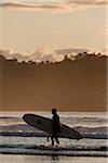 Surfer on Beach, Chesterman Beach, Tofino, Vancouver Island, British Columbia, Canada