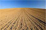 Sowed Field, Reinheim, Darmstadt-Dieburg, Hesse, Germany