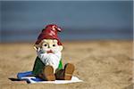 Gnome Sitting on the Beach