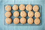 Frisch gebackene glutenfreie Ginger Snap Cookies