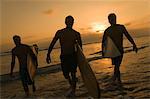 Three surfers carrying surfboards out of surf at sunset