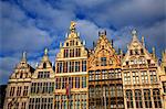 Belgium, Flanders, Antwerp; The decorative merchant houses in the Grote Markt