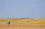 Canada. A woman rides a horse on the Canadian Prairie